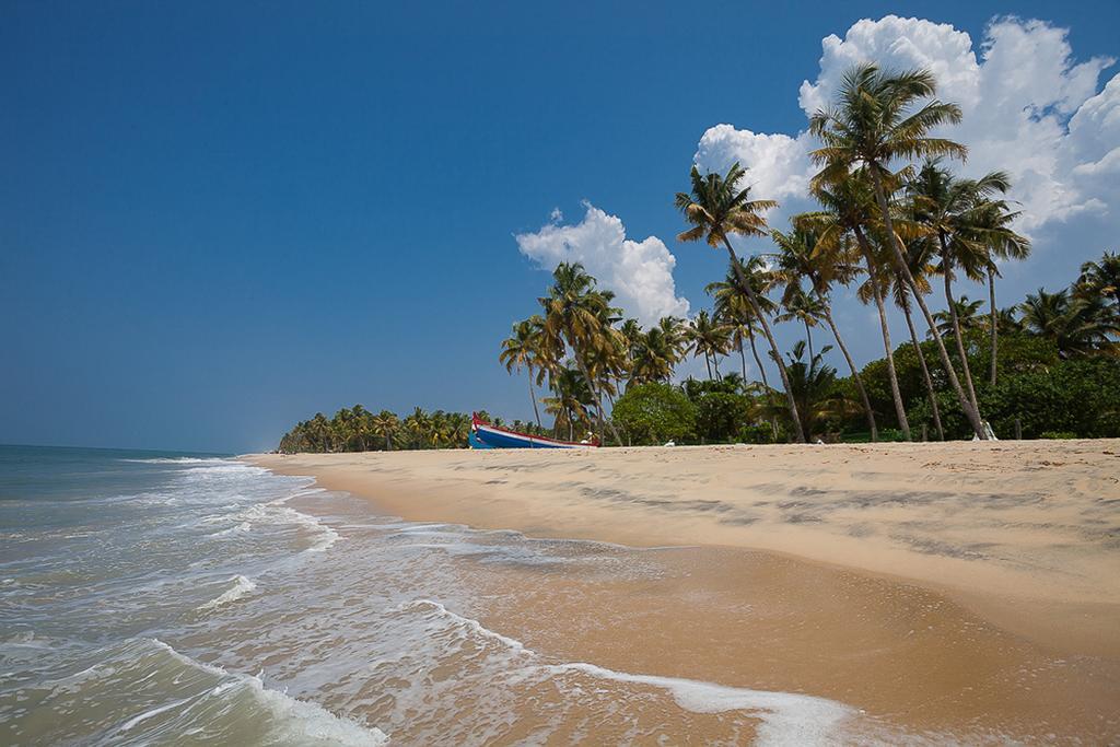 Marari Villas - Private Pool Villas Mararikulam Luaran gambar